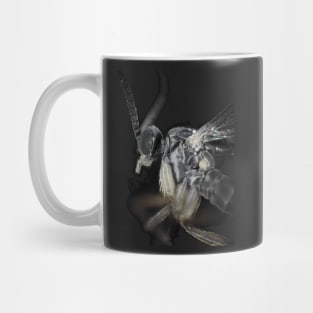 Fungus gnat under microscope Mug